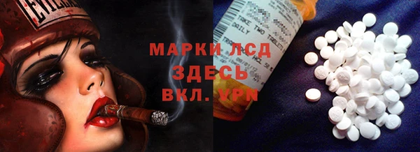амф Зеленодольск
