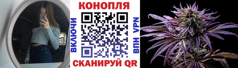 Канабис сатива  Купить закладки  Ясногорск 